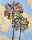 Santa Rosa Palm II Art Print