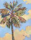 Santa Rosa Palm III Art Print