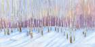 Winter White Birch Grove Oil Art Print