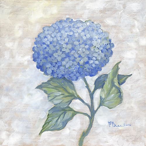 Garden Glory - Hydrangea Single II Art Print