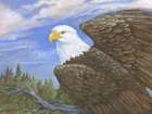 Eagles Eyrie Art Print