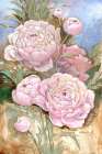Impressions of Peonies III Art Print