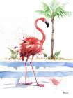 Santo Domingo Flamingo I Art Print