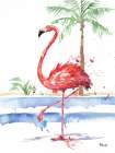 Santo Domingo Flamingo II Art Print