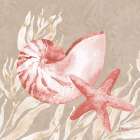 Tampico Shells I - Peach Art Print
