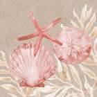 Tampico Shells II - Peach Art Print