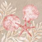 Tampico Shells III - Peach Art Print