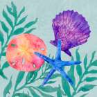 Tampico Shells III Art Print