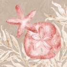 Tampico Shells IV - Peach Art Print