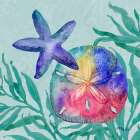 Tampico Shells IV Art Print