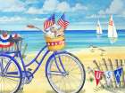 Seashell Beach Bicycle - Patriotic Art Print