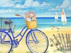 Seashell Beach Bicycle Art Print