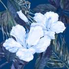 Hibiscus Bunch I Art Print