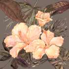 Hibiscus Bunch II - Peach Art Print