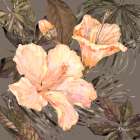 Hibiscus Bunch IV - Peach Art Print
