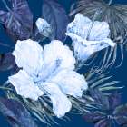 Hibiscus Bunch IV Art Print