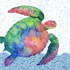 Tobago Sealife I Art Print