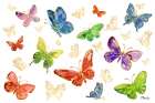 Butterfly Oasis Horizontal Art Print