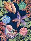Spectrum Shells Vertical Art Print