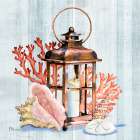Coral Dive Lantern I Art Print