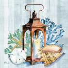 Coral Dive Lantern II Art Print