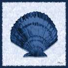 Onslow Shell I Art Print