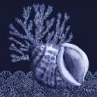Shadow Shell I - Dark Art Print