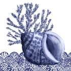 Shadow Shell I Art Print