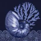 Shadow Shell IV - Dark Art Print
