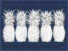 Toned Pineapple Horizontal Minimalist Print