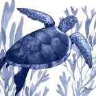 Marine Life I Art Print