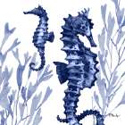 Marine Life II Art Print