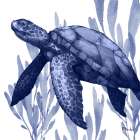 Marine Life IV Coastal Print