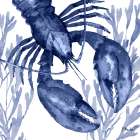 Marine Life V Art Print
