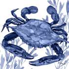 Marine Life VI Art Print