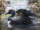 Loon Pond Horizontal I Art Print