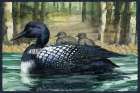 Loon Pond Horizontal II - Babies Art Print