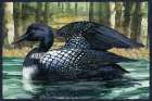 Loon Pond Horizontal II Art Print