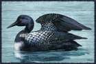 Loon Wood Horizontal Art Print