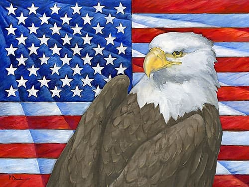 Eagles View Flag Horizontal Art Print