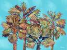 Bondi Palm Horizontal Art Print