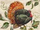 Vined Turkey Horizontal Art Print