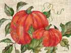 Vined Pumpkins Horizontal Art Print