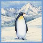 Winter Penguins I Art Print