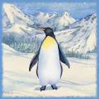 Winter Penguins II Art Print