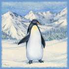 Winter Penguins III Art Print