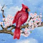 Spring Cardinal I Art Print