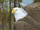 Eagles View Horizontal II Art Print