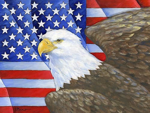 Eagles View Flag Horizontal II Art Print