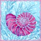 Ammonite Shell I Art Print